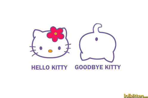 HELLO KITTY - GOODBYE KITTY