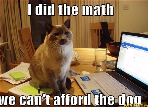 I did the math - we can't afford the dog