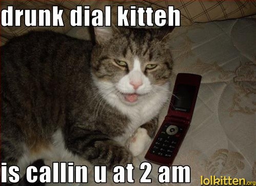 drunk dial kitteh is callin u at 2 am