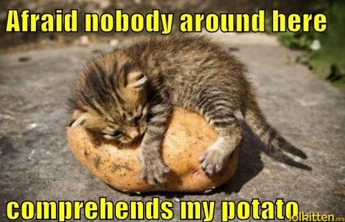 Afraid nobody around here comprehends my potato