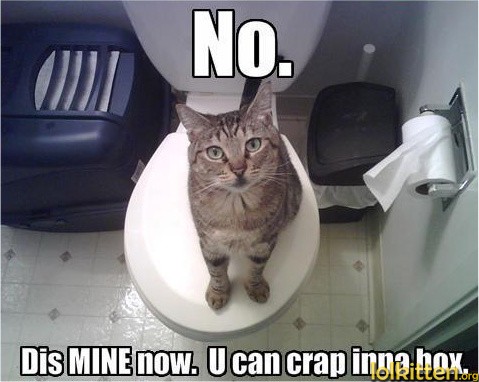 No. Dis MINE now. U can crap inna box.