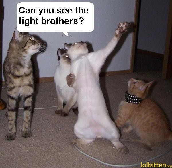 Can you see the light brothers?