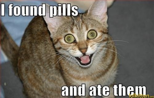 I found pills and ate them