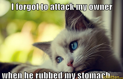 I forgot to attack my owner when he rubbed my stomach
