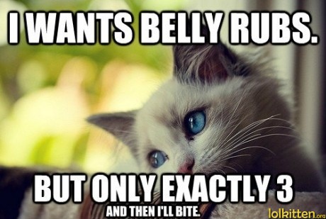 I WANTS BELLY RUBS. BUT ONLY EXACTLY 3 AND THEN I'LL BITE.