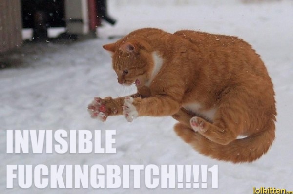 INVISIBLE F**KING B*TCH!!!!1