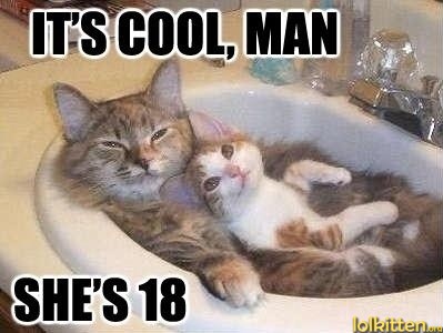 funny-cat-lolcat-mature.jpg