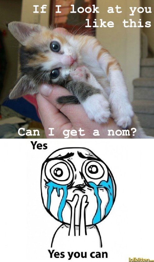 If I look at you like this - Can I get a nom? - Yes - Yes you can