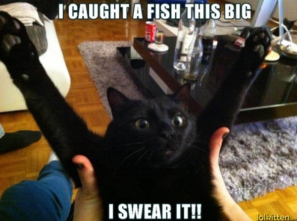 I CAUGHT A FISH THIS BIG - I SWEAR IT!!