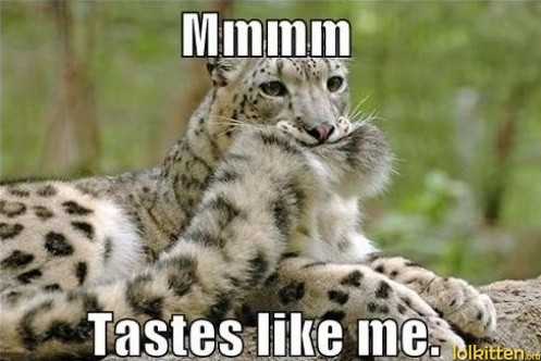 Mmmm - Tastes like me.