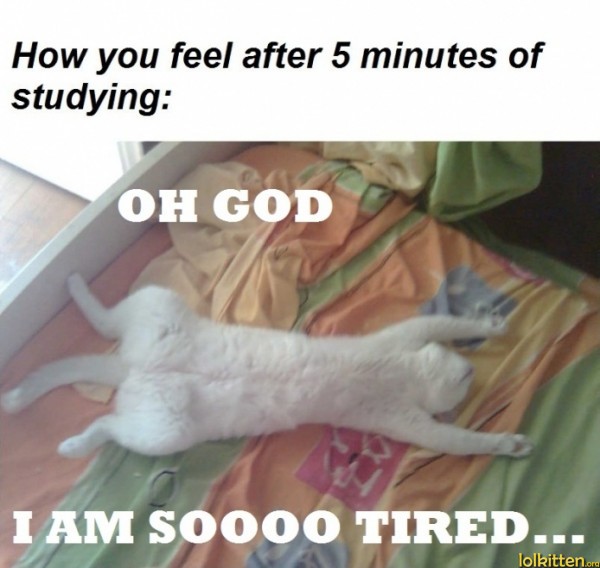 OH GOD - I AM SOOOO TIRED...