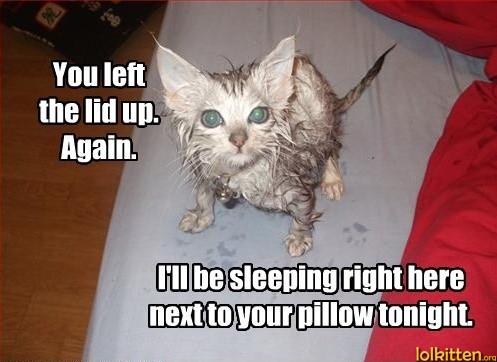 You left the lid up. Again. I'll be sleeping right here next to your pillow tonight.