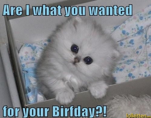 Are I what you wanted for your Birfday?!