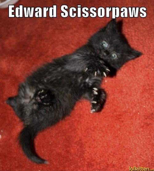 EDWARD SCISSORPAWS