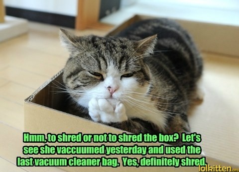 To shred or not to shred the box?