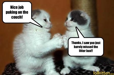 Nice job puking on the couch! Thanks, I saw you just barely missed the litter box!!