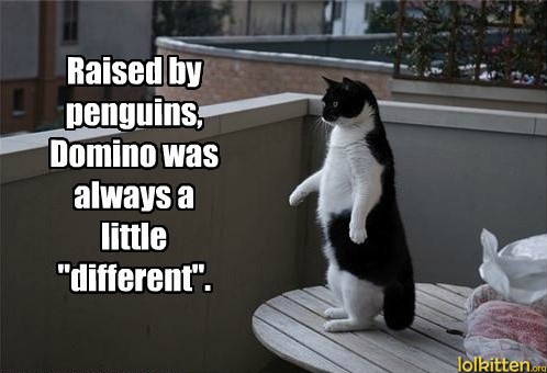 Raised by penguins, Domino was always a little "different".