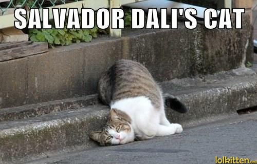 SALVADOR DALI'S CAT