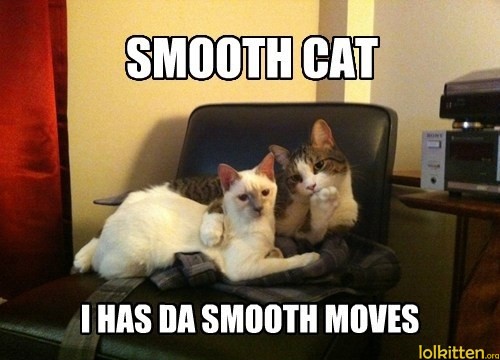 SMOOTH CAT - I HAS DA SMOOTH MOVES