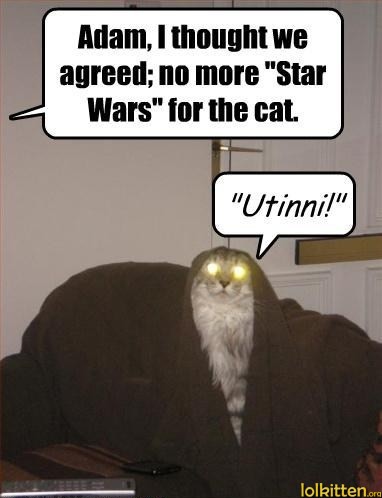 No more star wars for the cat