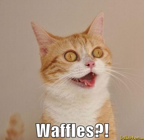 Waffles?!