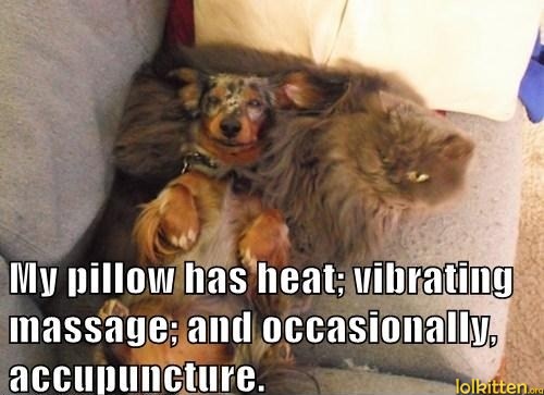 My pillow has heat; vibrating massage, and occasionally, accupuncture.
