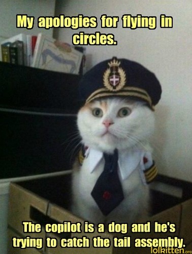 My apologies for flying in circles. The copilot is a dog and he's trying to catch the tail assembly.