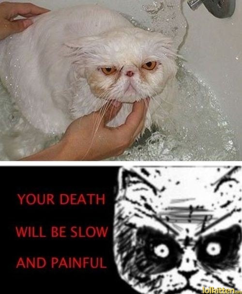 YOUR DEATH WILL BE SLOW AND PAINFUL