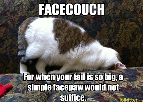 FACECOUCH - For when your fail is so big, a simple facepaw would not suffice.