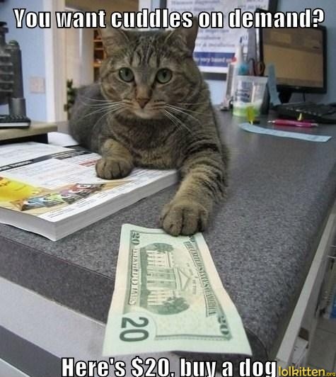 You want cuddles on demand? Here's $20, buy a dog