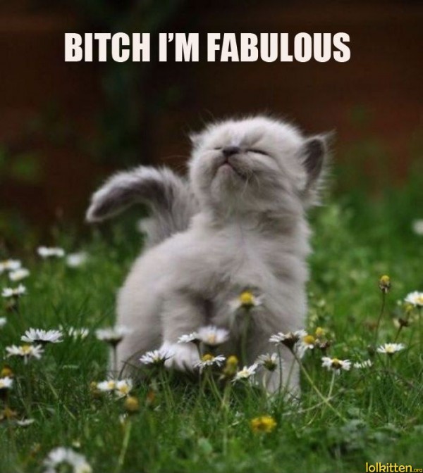B*TCH I'M FABULOUS
