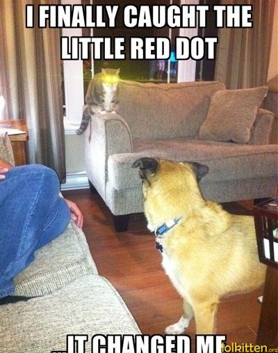 I FINALLY CAUGHT THE LITTLE RED DOT - ...IT CHANGED ME