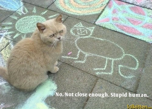 No. Not close enough. Stupid human.