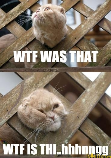 WTF WAS THAT - WTF IS THI..hhnnnngg