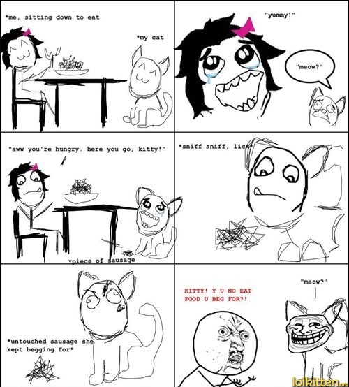 Cat doesn't want to eat after begging