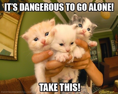 IT'S DANGEROUS TO GO ALONE - TAKE THIS!
