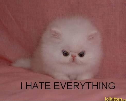 I HATE EVERYTHING