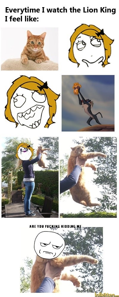 Lion King Cat
