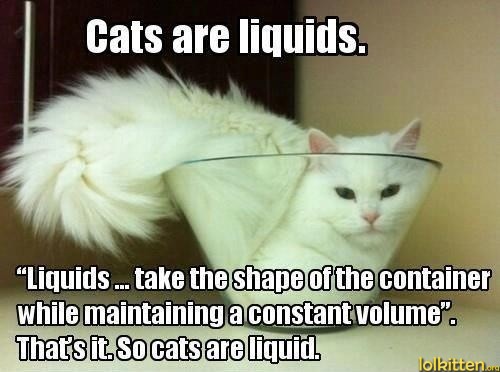 Cats are liquids.