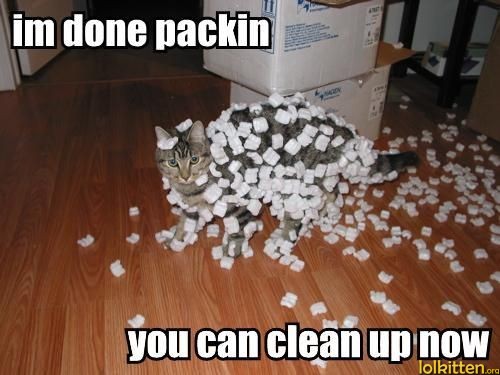 im done packin - you can clean up now