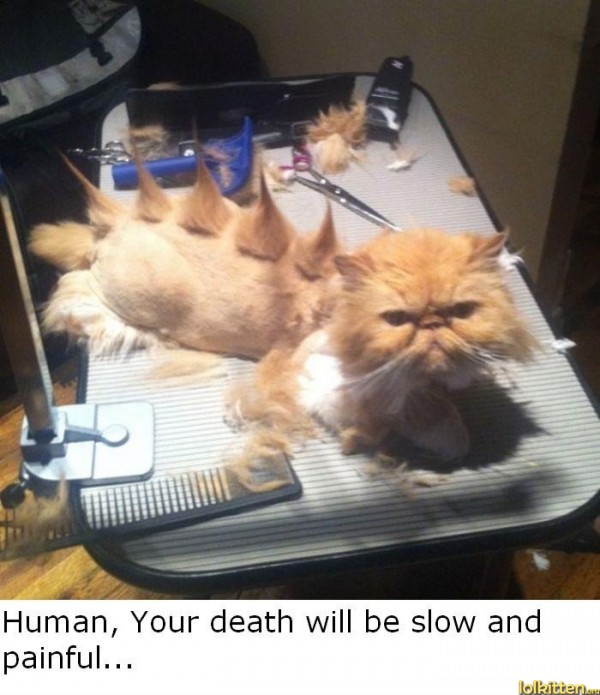 Human, Your death will be slow and painful...