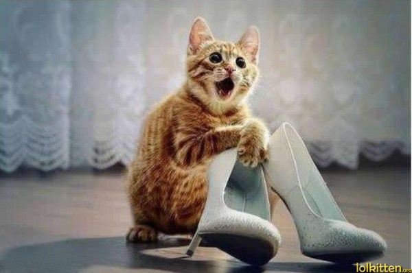 I LOVE Shoes
