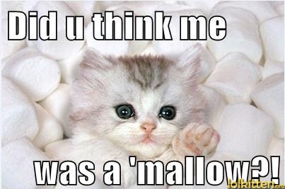 Did u think me was a 'mallow?!