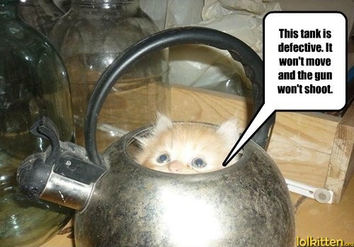 This tank is defective. It won't move and the gun won't shoot.