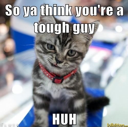 So ya thing you're a tough guy - HUH