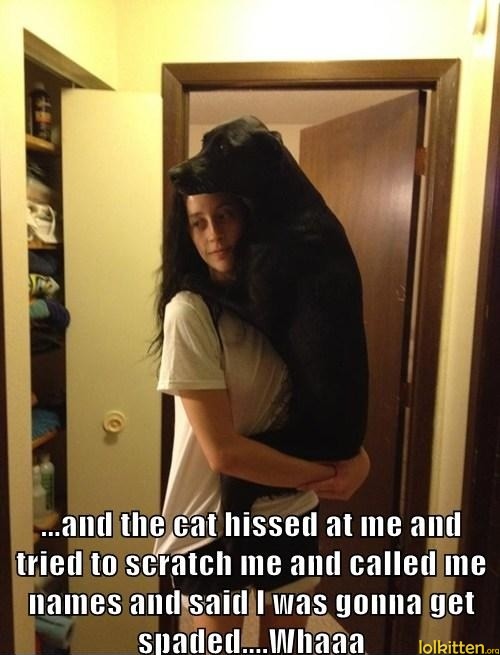 ...and the cat hissed at me and tried to scratch me and called me names and said I was gonna get spaded... Whaaa