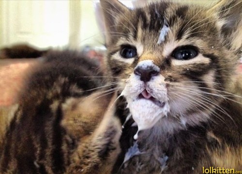 Milky Mouth
