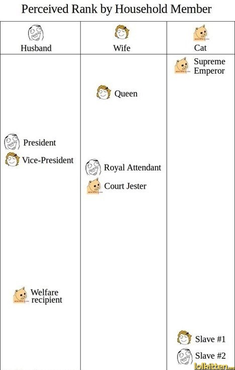 Perceived Rank by Household Member