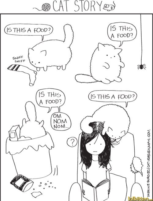 Is this a food?