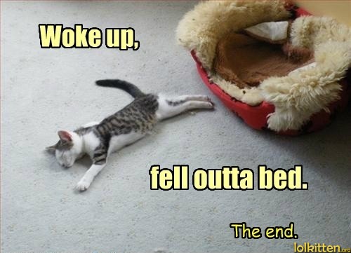 Woke up, fell outta bed. - The end.